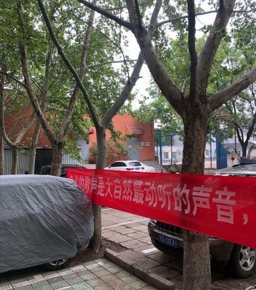 北京区东高地最新爆料,揭秘北京区东高地发展新动向  第2张 北京区东高地最新爆料,揭秘北京区东高地发展新动向  第2张