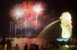 新加坡过年烟花爆料视频  第3张 新加坡过年烟花爆料视频  第3张
