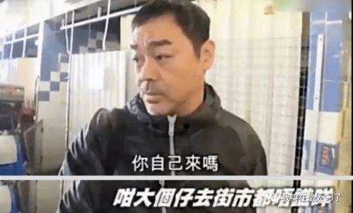 娱乐吃瓜群众明星有哪些,盘点近期热门明星动态  第3张 娱乐吃瓜群众明星有哪些,盘点近期热门明星动态  第3张