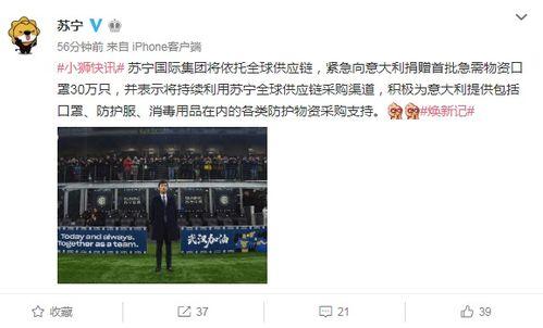 意大利爆料苏宁是谁啊视频,意大利爆料视频中的苏宁之谜  第3张 意大利爆料苏宁是谁啊视频,意大利爆料视频中的苏宁之谜  第3张