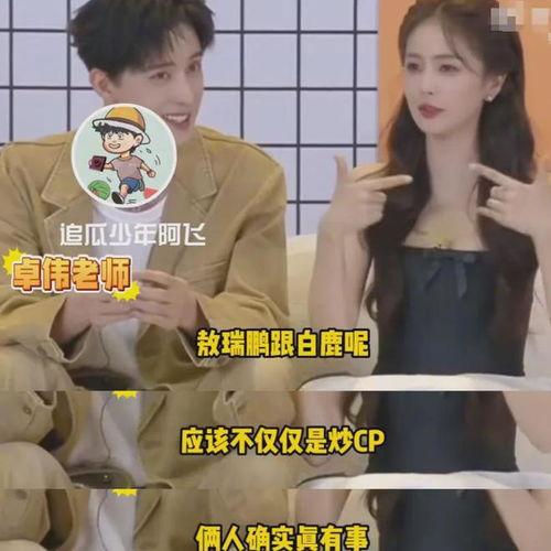 狗仔爆料白鹿最新,狗仔爆料揭秘明星私生活  第2张 狗仔爆料白鹿最新,狗仔爆料揭秘明星私生活  第2张
