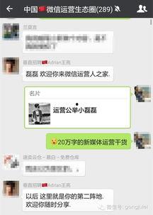 盐山网红吃瓜群微信公众号,揭秘网络红人背后的故事与八卦  第3张 盐山网红吃瓜群微信公众号,揭秘网络红人背后的故事与八卦  第3张