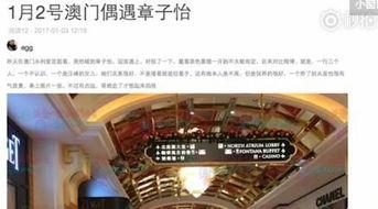澳门最新爆料电话,揭秘幕后真相  第3张 澳门最新爆料电话,揭秘幕后真相  第3张