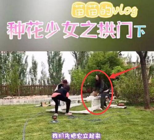 苗苗最新爆料房子租的,揭秘租房背后的故事  第3张 苗苗最新爆料房子租的,揭秘租房背后的故事  第3张