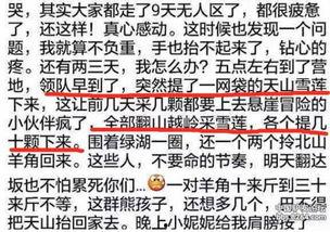 爆料雪莲的视频大全集,揭秘神秘雪莲的神奇魅力  第2张 爆料雪莲的视频大全集,揭秘神秘雪莲的神奇魅力  第2张