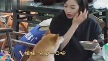 娱乐八卦爆料自制视频,自制视频爆料的惊人内幕大起底  第3张 娱乐八卦爆料自制视频,自制视频爆料的惊人内幕大起底  第3张
