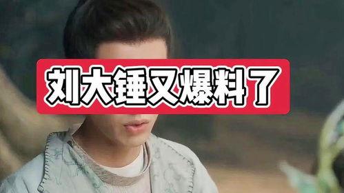 刘大锤今天爆料视频,揭秘今日热点事件内幕  第2张 刘大锤今天爆料视频,揭秘今日热点事件内幕  第2张