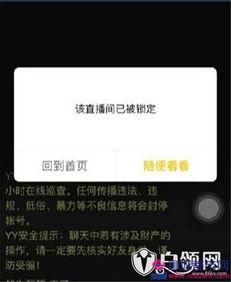 爆哥爆料视频下载网站,一键获取热门视频的秘密通道  第2张 爆哥爆料视频下载网站,一键获取热门视频的秘密通道  第2张