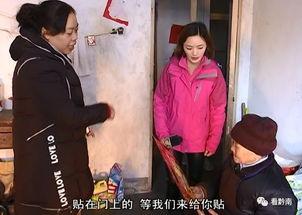 徐老太爆料视频大全,揭秘生活百态,引发社会热议
