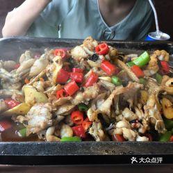 牛蛙爱上鱼爆料视频,一场跨越物种的浪漫邂逅  第3张 牛蛙爱上鱼爆料视频,一场跨越物种的浪漫邂逅  第3张