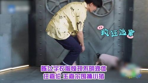 李晨爆料陈飞宇视频合集,视频合集大揭秘  第2张 李晨爆料陈飞宇视频合集,视频合集大揭秘  第2张