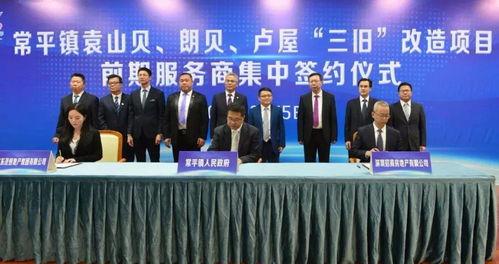 东莞常平新闻爆料热线电话,倾听民声,守护平安