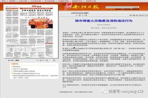 南阳 新闻 爆料,揭秘背后真相,探寻事件真相