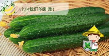吃瓜十八第六集免费观看,揭秘幕后真相,免费观看大揭秘!