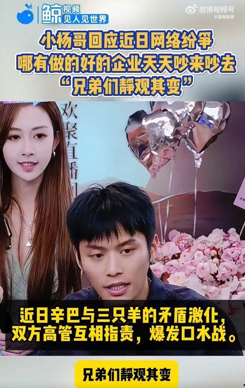 三只羊最新爆料新闻视频,揭秘娱乐圈惊人内幕!  第3张 三只羊最新爆料新闻视频,揭秘娱乐圈惊人内幕!  第3张